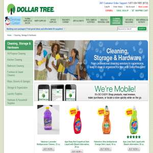 Cleaning supplies - Dollartree
