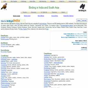 Indian Birds and Birding