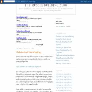Muscle Building Blog