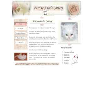Purring Angels Cattery