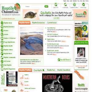Reptiles Channel