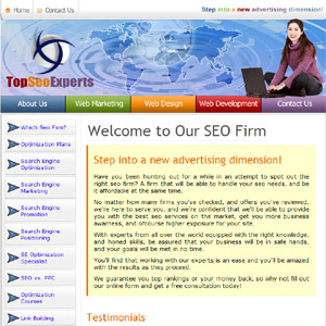 Search Engine Optimization Firm